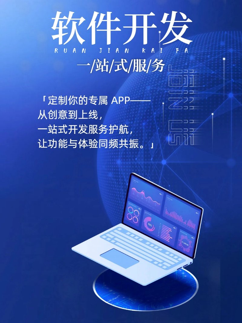 进销存系统的定制化之路：如何选择最合适的解决方案？